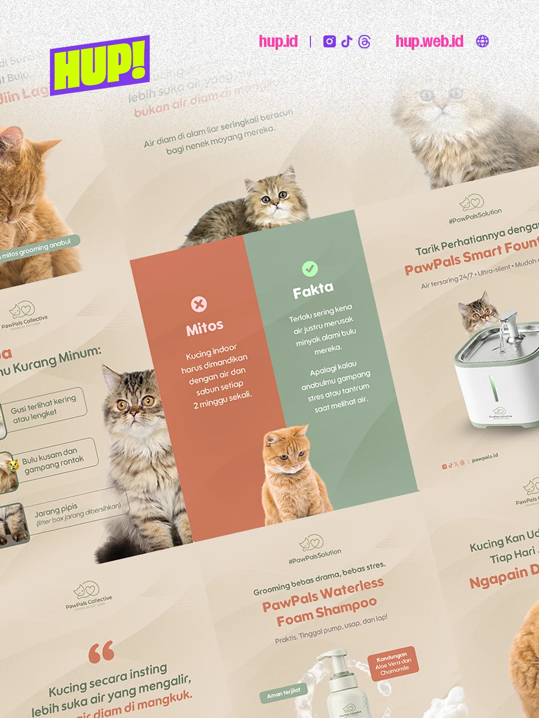 PawPals Collective